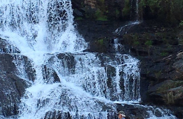 Cottage Waterfall à Cane Creek Falls, 2BR / 2BA en vue et son des chutes