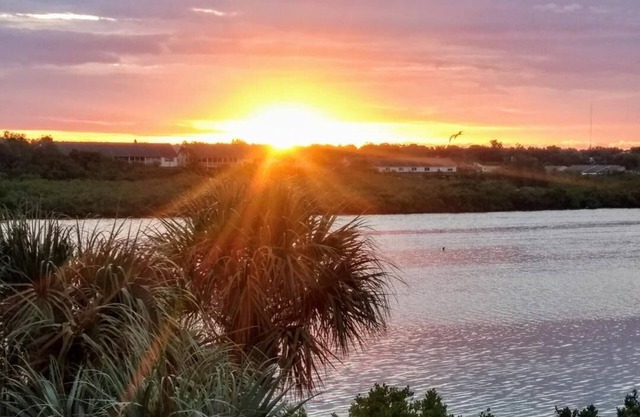 Bord de l'eau, condo acceptant les animaux de compagnie à Indian Shores, Floride