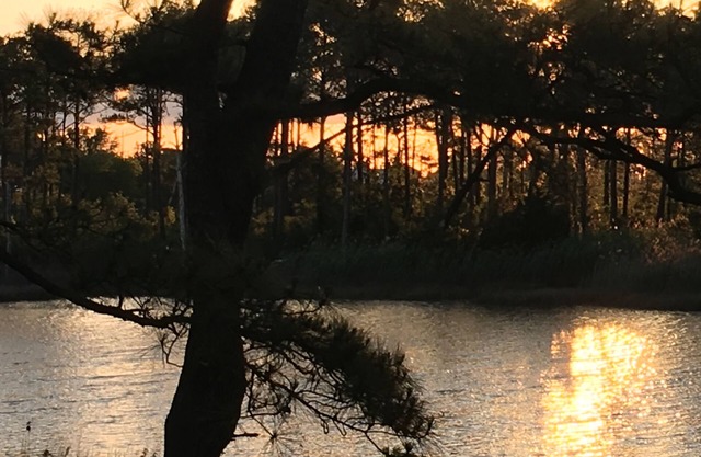 Waterfront Hideaway PRIVATE 3rd flr guestsuite PRIVATE DECK Nature Preserve View