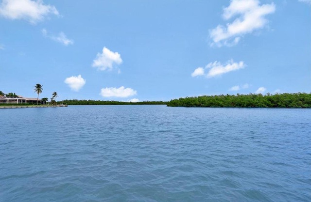 Waterfront home on key lot with pool/view of river