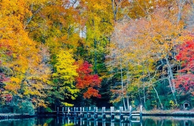 Waterfront home on Mill Creek-5BR-Hot tub & Kayaks