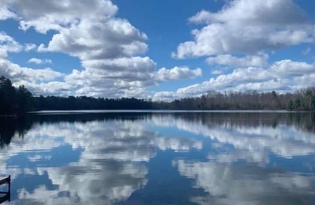 Lakeside Lodge pour les familles et les animaux domestiques, à proximité du meilleur des Northwoods!