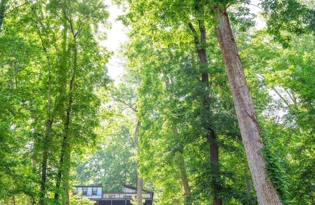 Sunny Waterfront Oasis Isolated in Woods ★ Grill!