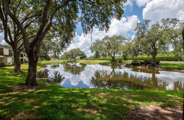 Waterfront Studio w/ 2 Queen Beds, Patio & Smart TV – Cozy & Convenient for a Relaxing Getaway!