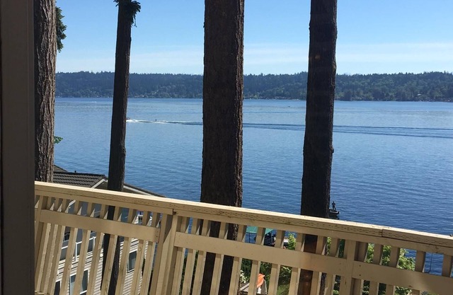 Bord de l'eau et près de Seattle-Vue sur le lac Sammamish à Bellevue