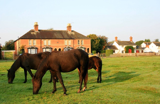 Waterley, Brockenhurst