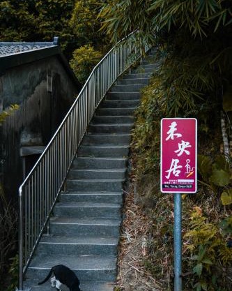 Way Young House