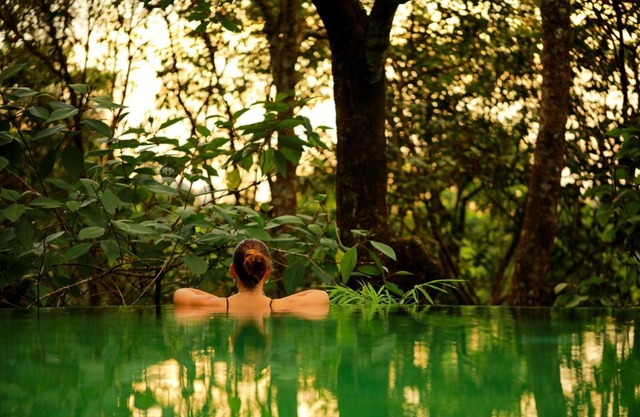 Wayanad Wild - A CGH Earth Experience