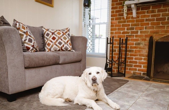 We have a fully furnished bedroom that is ready to become someone's home away from home