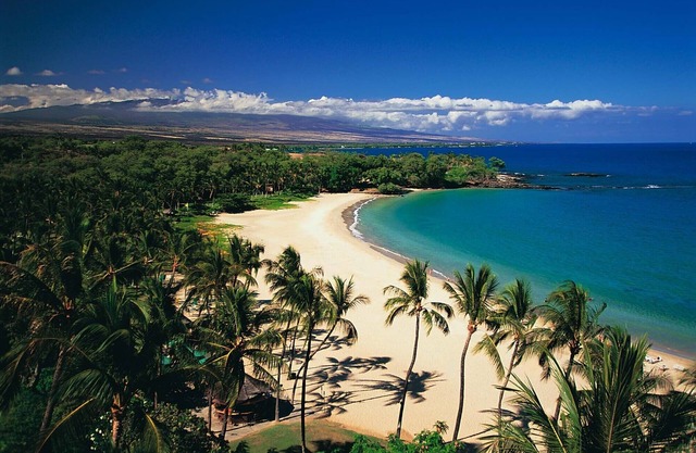 Red 'Ohana 2BD, maison de vacances hawaïenne de luxe au-dessus de Mauna Kea et Hapuna Beach
