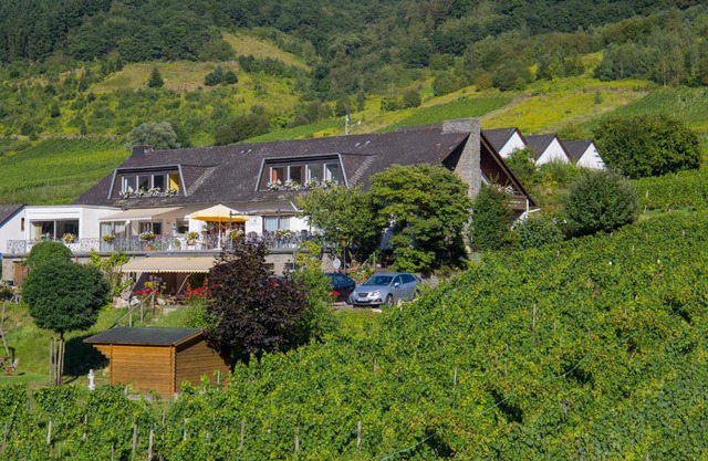Weingut & Gästehaus Heidhof