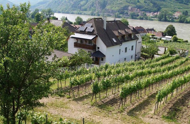 Weingut & Gästezimmer Pammer