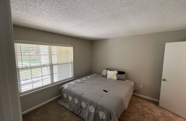 Welcome home Cozy one bed one bath With fire place