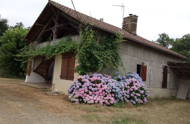 Bienvenue à la ferme landaise
