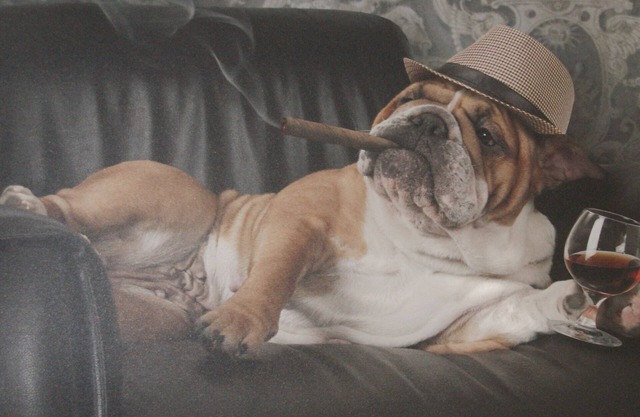 Bienvenue dans notre maison de vacances "Oscar" à Volkesfeld