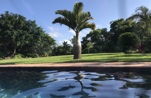 Bienvenue au paradis