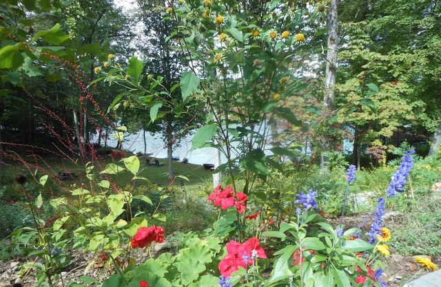 The Fox Den, studio totalement privé au bord du lac sur le lac Fed Spring