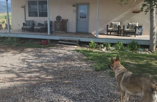 Welcome to the Ranch!!