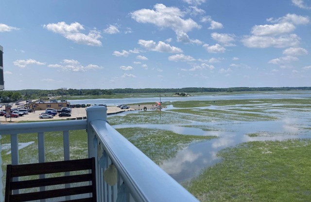 Welcome to the Seacoast!