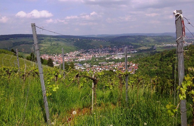 Bienvenue dans la "Toscane souabe" ...