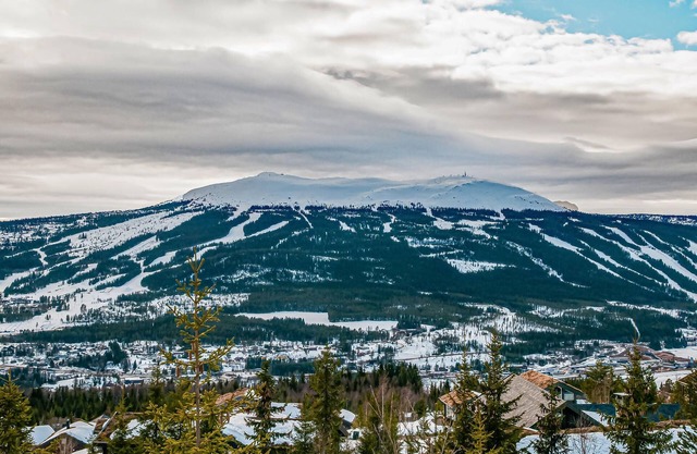3 bedroom accommodation in Trysil