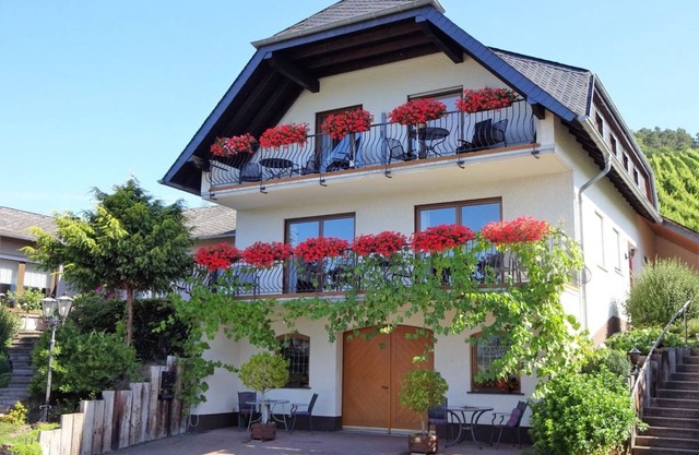 Maison de vacances bien entretenue au milieu des vignes. Appartement 1, courtes vacances sur demande