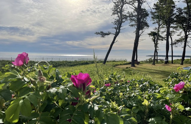 West Chop Sandy Beach, Water Front, 6 BR, Great Views!