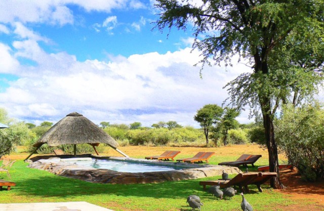 West Nest Lodge