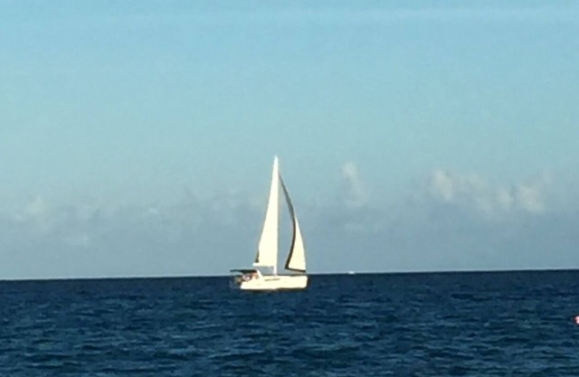 La sirène de Palm Beach