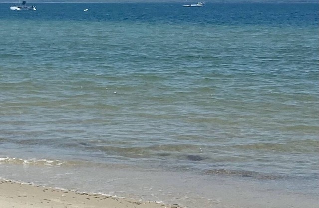 Walk to Lambert’s Cove Beach! Lovely 4br 1740 sq ft Vineyard home