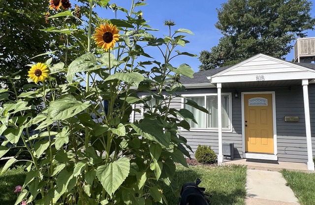 West Wash Park - 2 Bedroom w/ large fenced backyard