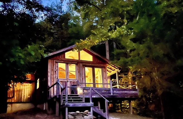 Whimsical Wildwood Studio