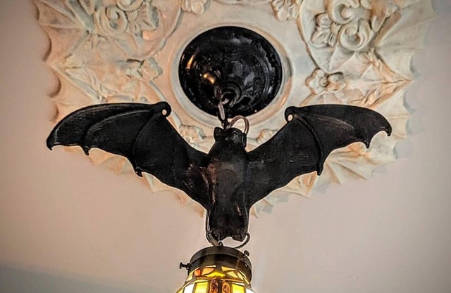 Whimsical witch themed rental in the heart of Uptown Saint John!