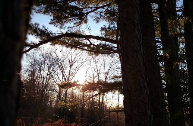 Whispering Pines à la campagne sur 40 acres
