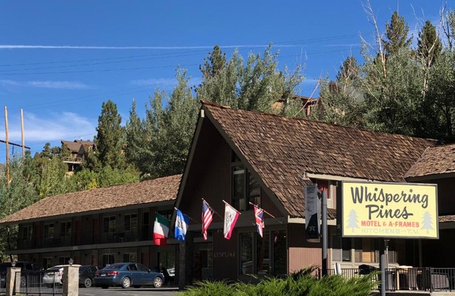 Whispering Pines