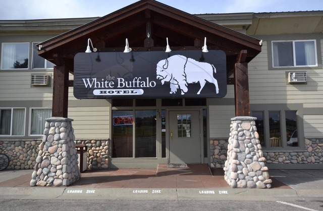 White Buffalo