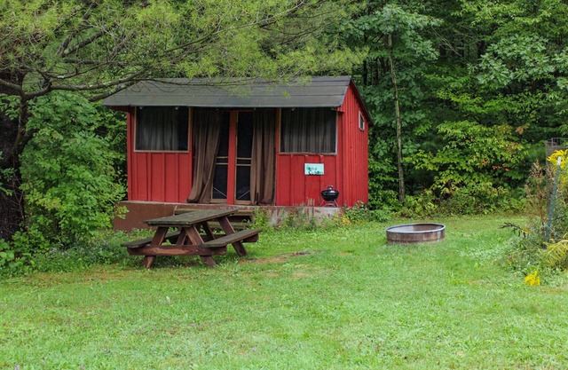 White Pine Rustic Cabin