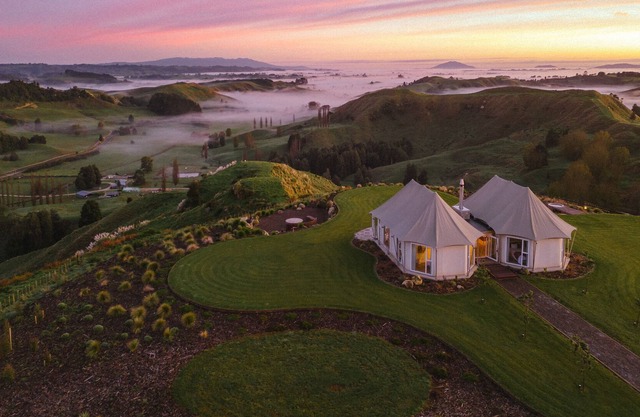 Wild Canvas - Pōhutukawa Tent
