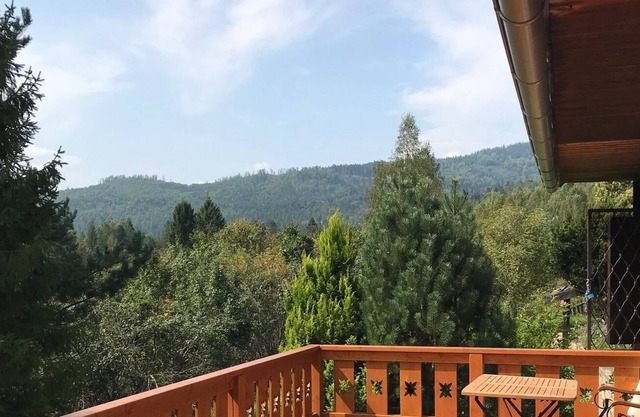 WILD PARADISE, Un bain de forêt dans le Paradis slovaque, chien admis