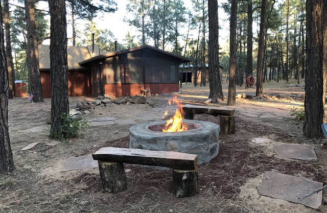 Wild Saddle Ranch Cabin-Notre porte s'ouvre sur la forêt nationale de Sitgreaves!