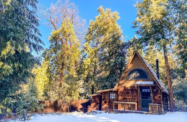 Wildland Zen Den: Tiny House Retreat with Fireplace, Grill, AC, Hammock, Record