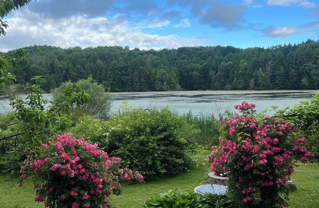 Wildlife Lakeside Cottage