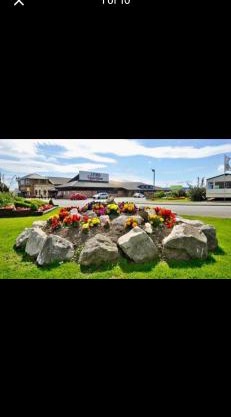 Willerby, Peppy, Sycamore Walk, Lyons Robin Hood Holiday Park
