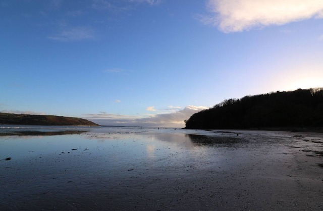Willow, LLANSTEFFAN
