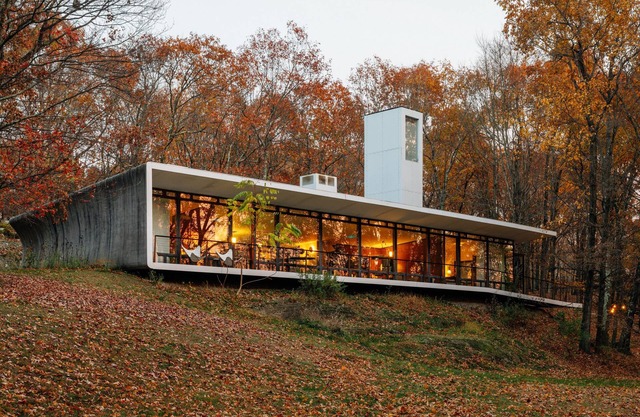 Willow Glen House