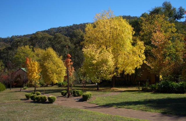 Willowlake Cottages