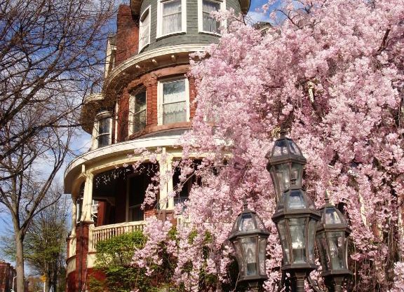 Wilson House Bed & Breakfast
