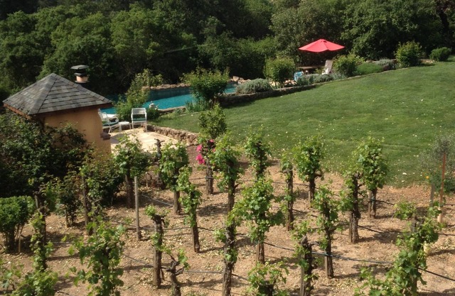 escapade de pays de vin; rester dans une cave