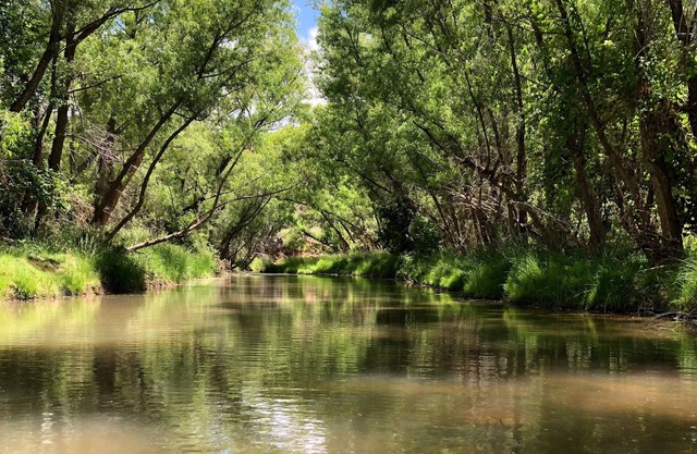 Vignobles, Sedona, Jerome, Verde River, la maison sur la réserve naturelle