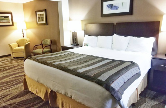 Wingate by Wyndham Raleigh Durham Airport RTP